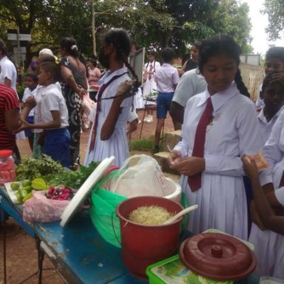 387857818 337760442087459 7059383844740794049 N