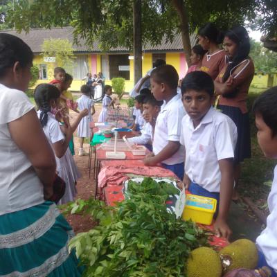 387858747 337760582087445 5220507567313790285 N