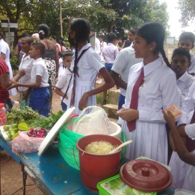 391547251 337760605420776 3837271711427046855 N