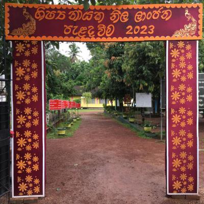 387023162 335303818999788 8229696646282269152 N